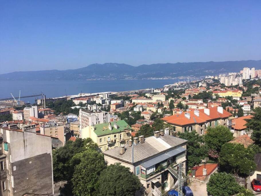 Daire Sea City View W/ 2bd 1bt Free Street Parking